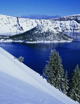Picture of OR, CRATER LAKE NP WIZARD ISLAND IN CRATER LAKE