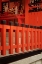 Picture of JAPAN, KYOTO FUSHIMI-INARI-TAISHA SHINTO SHRINE