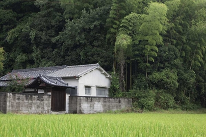 Picture of JAPAN, HEGURI-CHO RURAL HOME NEXT TO RICE FIELD