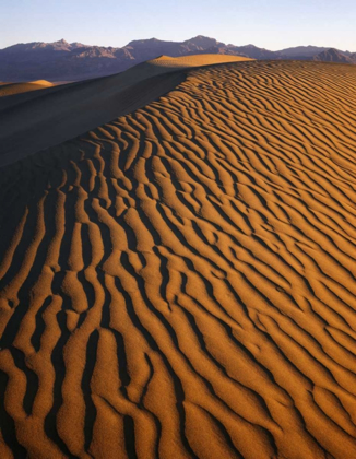 Picture of PATTERNS AT MESQUITE SAND DUNES, DEATH VALLEY, CA