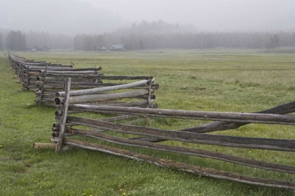 Picture of IDAHO, SAWTOOTH MTS FENCE IN MISTY FARM COUNTRY
