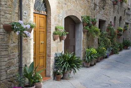 Picture of ITALY, PIENZA POTTED PLANTS LINE NARROW STREETS