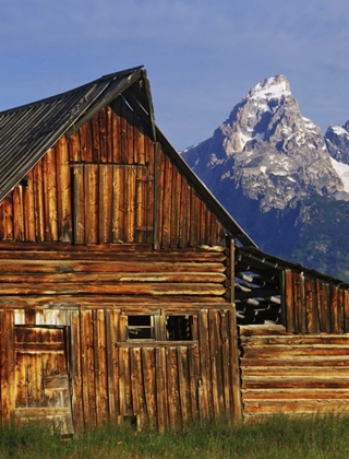 Picture of WY, GRAND TETONS DILAPIDATED BARN BY MORMON ROW
