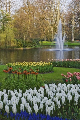 Picture of NETHERLANDS, LISSE GARDEN SCENIC WITH A FOUNTAIN