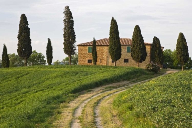 Picture of ITALY, TUSCANY, PIENZA VIEW OF COUNTRYSIDE VILLA