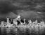 Picture of USA, CALIFORNIA, MONO LAKE STORM-LIT TUFA TOWERS