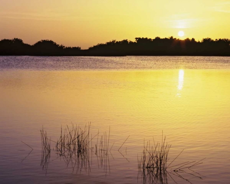 Picture of FLORIDA, EVERGLADES NP SUNSET REFLECTION ON LAKE