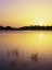 Picture of FLORIDA, EVERGLADES NP SUNSET REFLECTION ON LAKE
