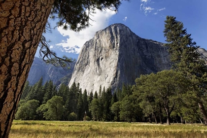 Picture of CALIFORNIA, YOSEMITE VIEW OF EL CAPITAN LANDMARK