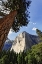 Picture of CALIFORNIA, YOSEMITE VIEW OF EL CAPITAN LANDMARK