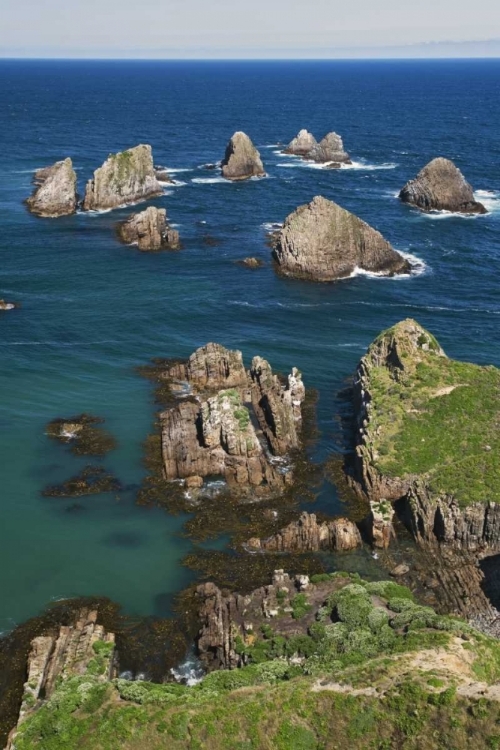 Picture of NEW ZEALAND, SOUTH IS SEASCAPE FROM NUGGET POINT