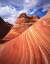 Picture of UTAH, PARIA CANYON THE WAVE FORMATION, SANDSTONE