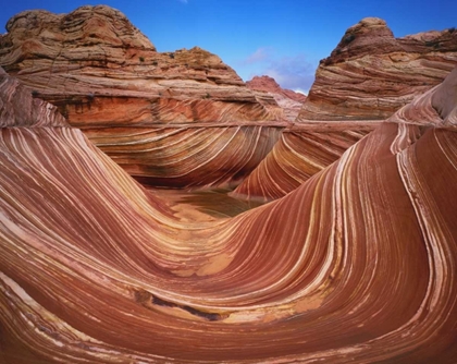 Picture of UTAH, PARIA CANYON THE WAVE FORMATION, SANDSTONE