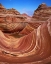 Picture of UTAH, PARIA CANYON THE WAVE FORMATION, SANDSTONE