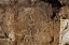 Picture of CALIFORNIA, OWENS VALLEY, CURVILINEAR PETROGLYPHS