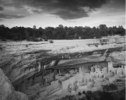 Picture of CO, MESA VERDE NP OVERVIEW OF CLIFF PALACE RUINS