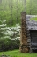 Picture of TN, GREAT SMOKY MTS LOG CABIN AND BLOOMING TREES