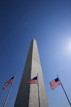 Picture of WASHINGTON DC, FLAGS AT THE WASHINGTON MONUMENT
