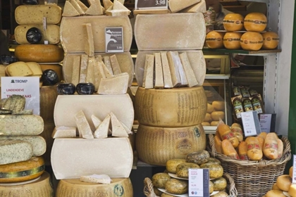 Picture of NETHERLANDS, AMSTERDAM VARIOUS CHEESES DISPLAYED