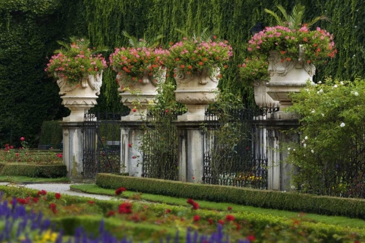 Picture of AUSTRIA, SALZBURG FLOWER POTS AT MIRABELL PALACE