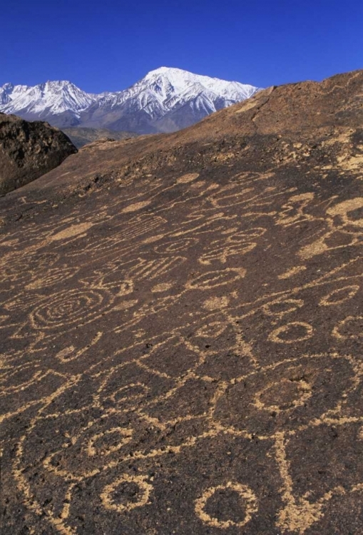 Picture of CA, SIERRA NEVADA CIRCULAR AND LINEAR PETROGLYPH