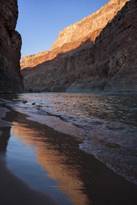 Picture of ARIZONA, GRAND CANYON DESERT SUNRISE