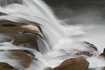 Picture of NEW ZEALAND, SOUTH ISLAND MARUIA FALLS