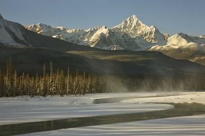 Picture of CANADA, JASPER NP ATHABASCA RIVER SCENIC