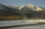 Picture of CANADA, JASPER NP ATHABASCA RIVER SCENIC
