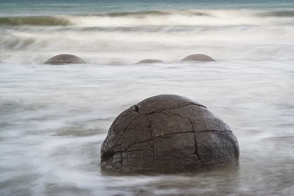 Picture of NEW ZEALAND, SOUTH ISLAND, MOERAKI BOULDERS