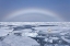 Picture of NORWAY, SVALBARD POLAR BEAR ON BROKEN SEA ICE
