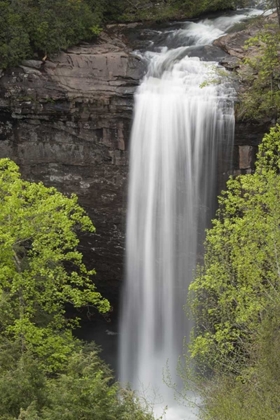 Picture of TN, FOSTER FALLS WILD AREA WATERFALL SCENIC