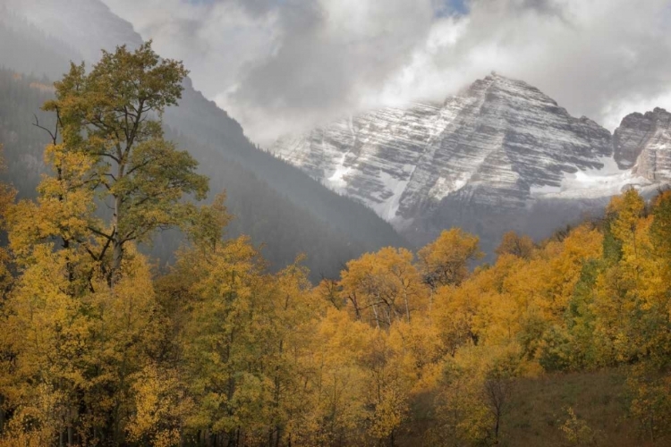 Picture of CO AUTUMN SUNRISE ON MAROON BELLS MOUNTAINS