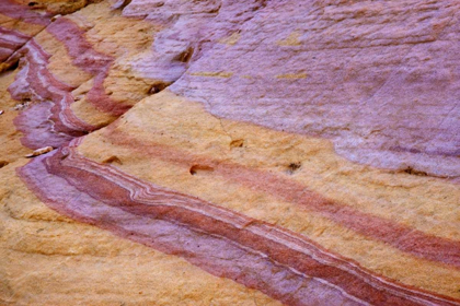 Picture of NEVADA, VALLEY OF FIRE SP COLORED SANDSTONE