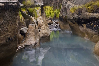 Picture of NEW ZEALAND, NORTH ISLAND ROCKS AT LOW TIDE