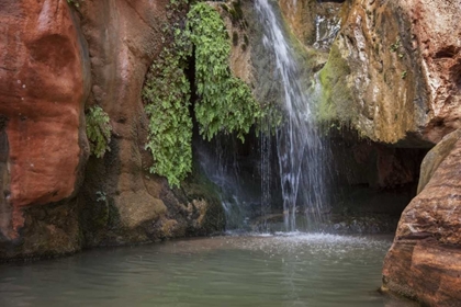 Picture of ARIZONA, GRAND CANYON NP VIEW OF ELVES CHASM