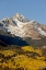 Picture of COLORADO, SAN JUAN MTS WILSON PEAK IN AUTUMN