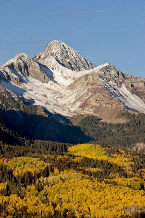 Picture of COLORADO, SAN JUAN MTS WILSON PEAK IN AUTUMN