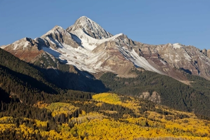 Picture of COLORADO, SAN JUAN MTS WILSON PEAK IN AUTUMN