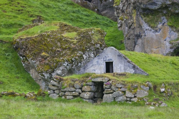 Picture of ICELAND, SKOGAR A SOD-COVERED ROOF ON A SHED