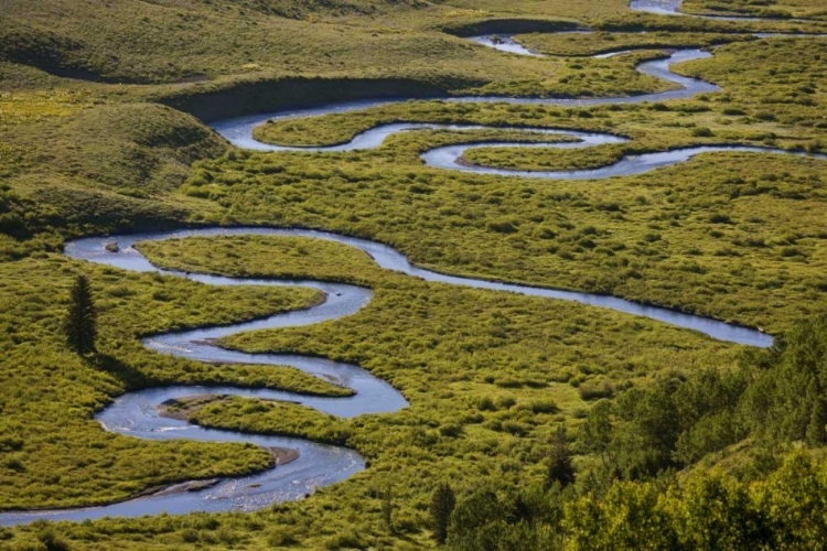 Picture of CO, GUNNISON NF UPER EAST RIVERS MEANDERING