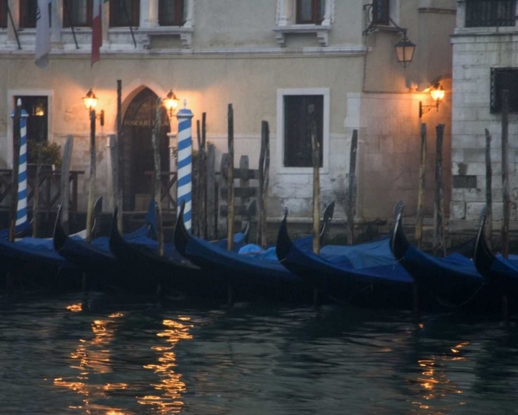 Picture of ITALY, VENICE GONDOLAS MOORED IN EARLY MORNING