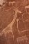 Picture of PETROGLYPHS, TWYFELFONTEIN, DAMARALAND, NAMIBIA