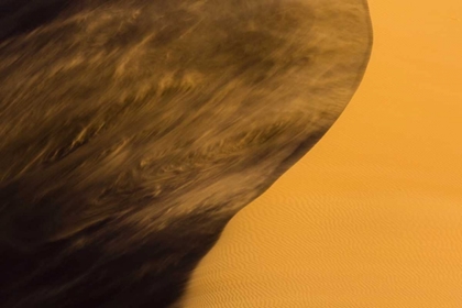 Picture of NAMIBIA, NAMIB-NAUKLUFT NP BLOWING SAND ON DUNE