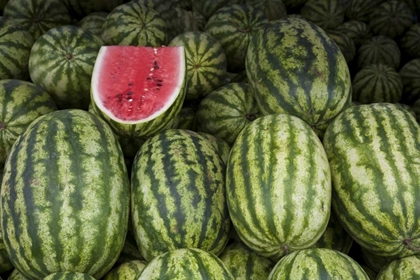 Picture of UAE, ABU DHABI WATERMELONS ON DISPLAY AT MARKET