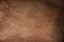 Picture of AZ, GRAND CANYON, ANCIENT ANASAZI HAND PRINTS