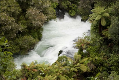 Picture of NEW ZEALAND, OKERE FALLS ON THE KAITUNA RIVER