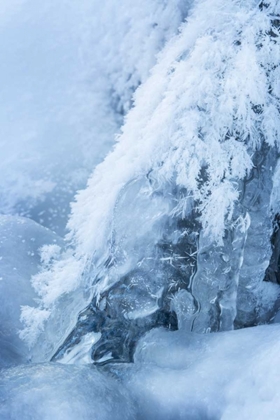 Picture of CO, WOODLAND PARK ICE AND FROST ON WATERFALL