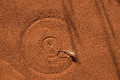 Picture of NEVADA, VALLEY OF FIRE SP CIRCLE IN THE SAND