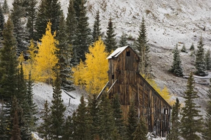 Picture of CO, UNCOMPAHGRE NF, AN ABANDONED MINE IN FALL